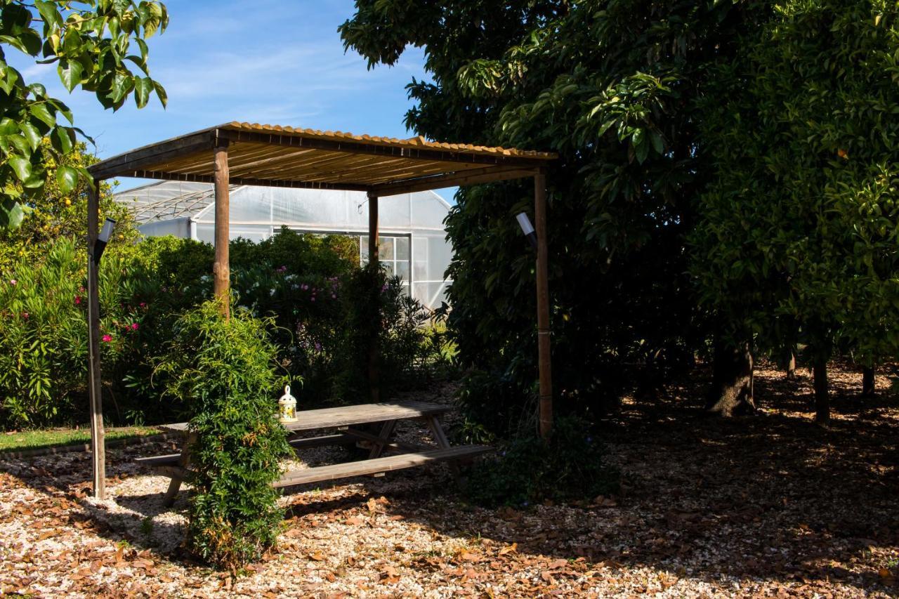 Tapada Dos Machados Pension Donalda Buitenkant foto